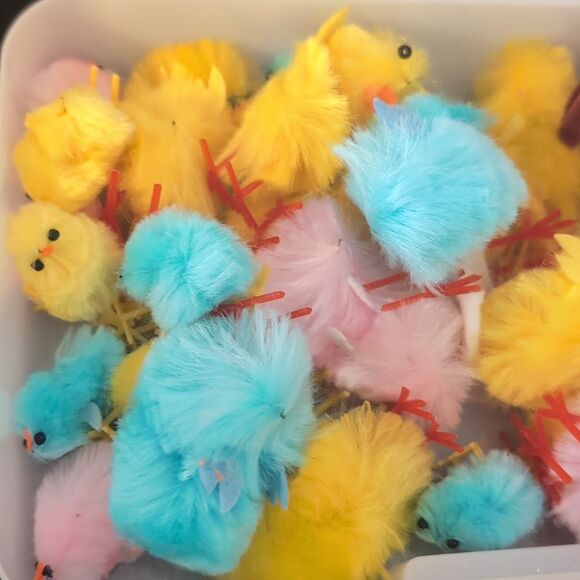 Baby Chicks with‎ Case Great for Craft Projects - Picture 3 of 5